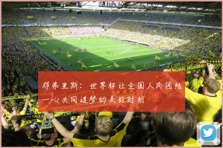 邓弗里斯：世界杯让全国人民团结一心共同追梦的美好时刻