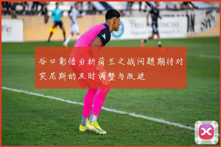 谷口彰悟分析荷兰之战问题期待对突尼斯的及时调整与改进